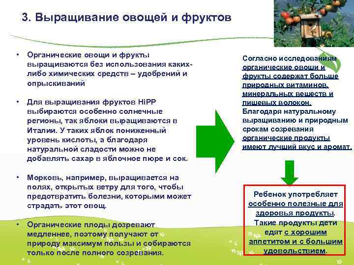 3. Выращивание овощей и фруктов • Органические овощи и фрукты выращиваются без использования какихлибо
