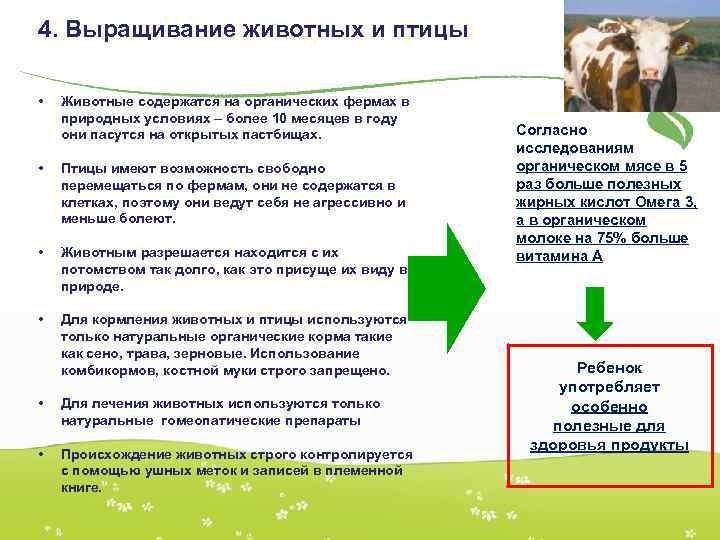4. Выращивание животных и птицы • Животные содержатся на органических фермах в природных условиях