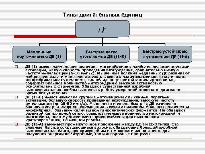 Типы единиц. Классификация двигательных единиц физиология. Двигательные единицы их классификация. Характеристика двигательных единиц. Понятие о двигательной единице.