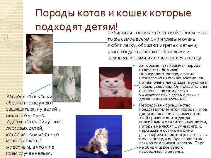 Характеристики породы