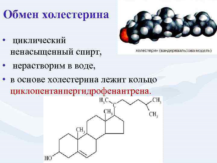 Обмен холестерина • циклический ненасыщенный спирт, • нерастворим в воде, • в основе холестерина