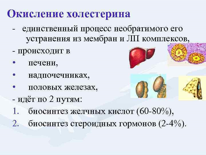 Окисление холестерина - единственный процесс необратимого его устранения из мембран и ЛП комплексов, -