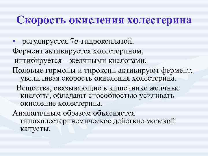 Скорость окисления холестерина • регулируется 7α-гидроксилазой. Фермент активируется холестерином, ингибируется – желчными кислотами. Половые