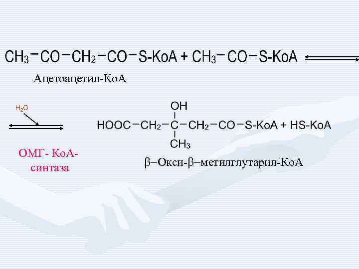 Ацетоацетил-Ко. А H 2 O ОМГ- Ко. Асинтаза b-Окси-b-метилглутарил-Ко. А 