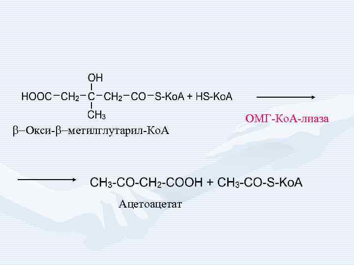 b-Окси-b-метилглутарил-Ко. А Ацетоацетат ОМГ-Ко. А-лиаза 