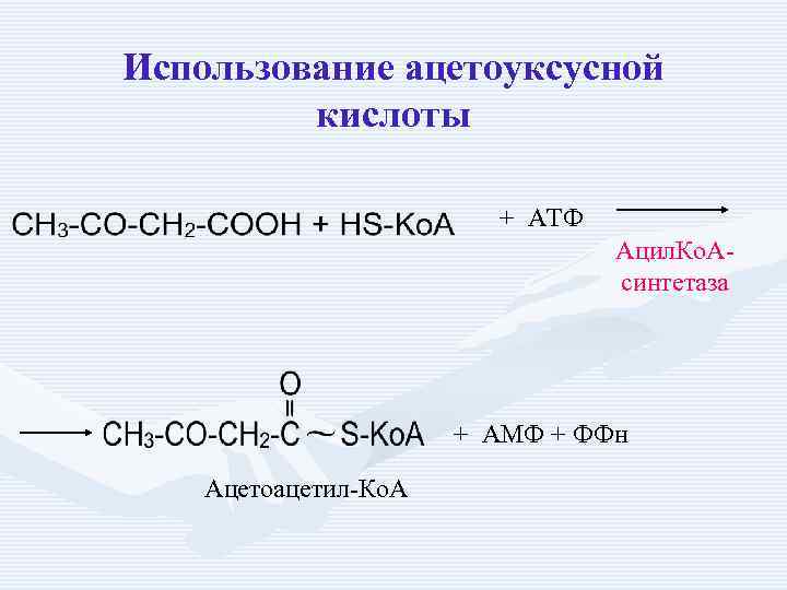 Использование ацетоуксусной кислоты + АТФ Ацил. Ко. Асинтетаза + АМФ + ФФн Ацетоацетил-Ко. А