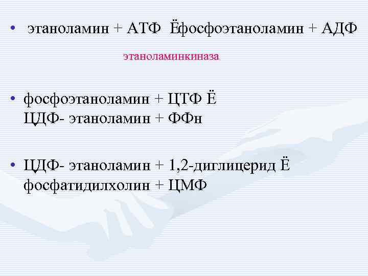  • этаноламин + АТФ Ёфосфоэтаноламин + АДФ этаноламинкиназа • фосфоэтаноламин + ЦТФ Ё