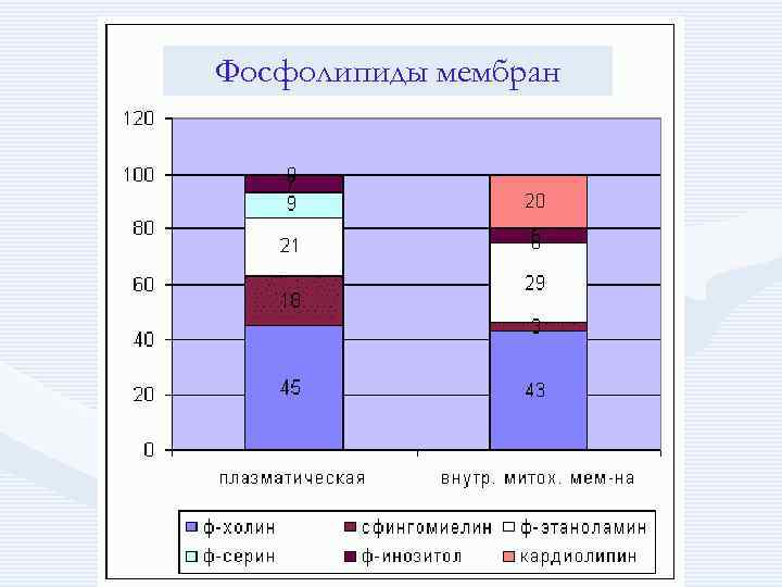 Фосфолипиды мембран 