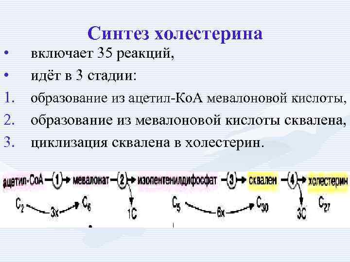  • • 1. 2. 3. Синтез холестерина включает 35 реакций, идёт в 3