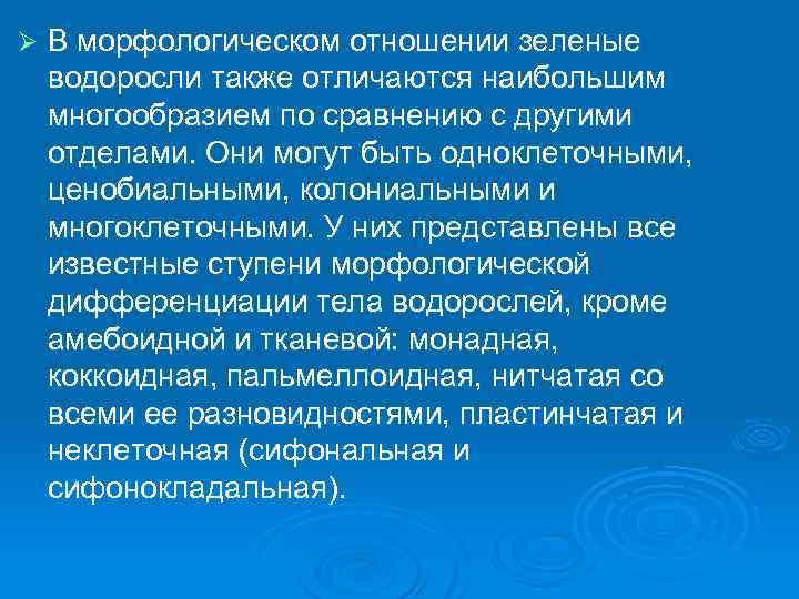 Ø В морфологическом отношении зеленые водоросли также отличаются наибольшим многообразием по сравнению с другими