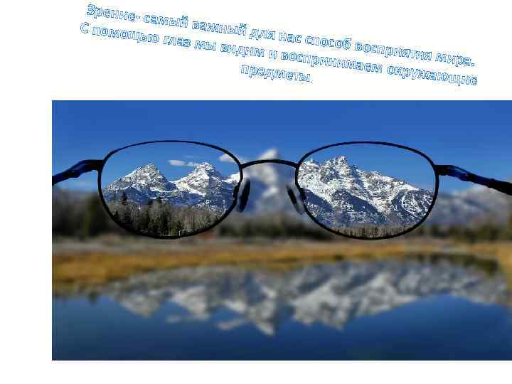 Зрение- с амый важ н С помощ ью глаз м ый для нас спосо