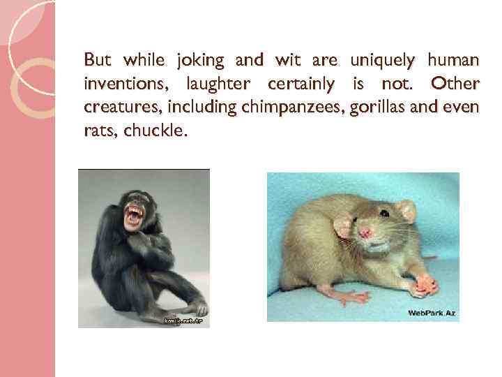 But while joking and wit are uniquely human inventions, laughter certainly is not. Other