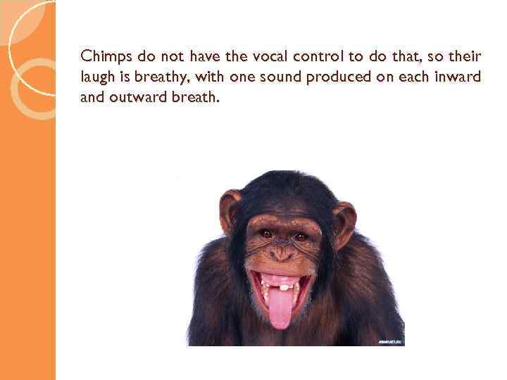 Chimps do not have the vocal control to do that, so their laugh is