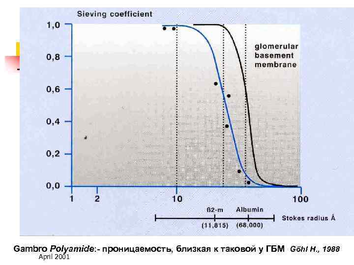 Gambro Polyamide: - проницаемость, близкая к таковой у ГБМ Göhl H. , 1988 April