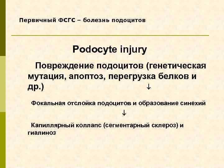 Первичный ФСГС – болезнь подоцитов Podocyte injury Повреждение подоцитов (генетическая мутация, апоптоз, перегрузка белков