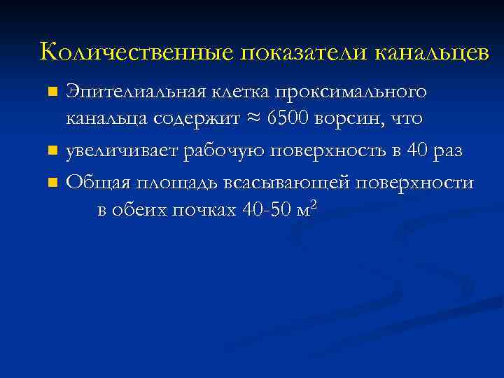 Количественные показатели канальцев Эпителиальная клетка проксимального канальца содержит ≈ 6500 ворсин, что n увеличивает