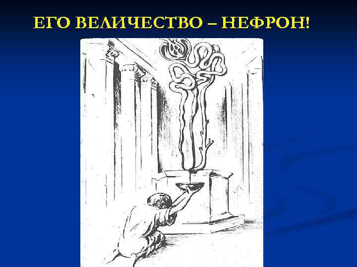 ЕГО ВЕЛИЧЕСТВО – НЕФРОН! 