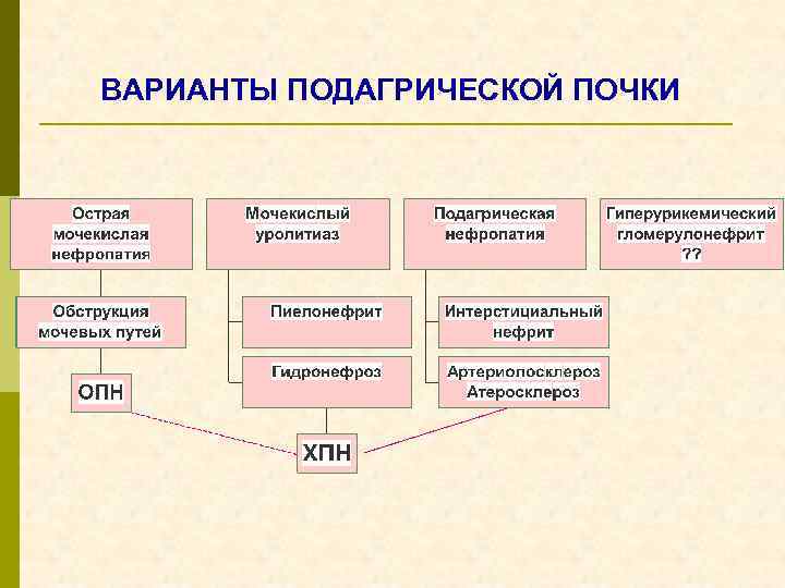 ВАРИАНТЫ ПОДАГРИЧЕСКОЙ ПОЧКИ 