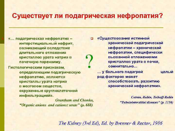 Существует ли подагрическая нефропатия? 1. q «Существование истинной «… подагрическая нефропатия – хронической подагрической