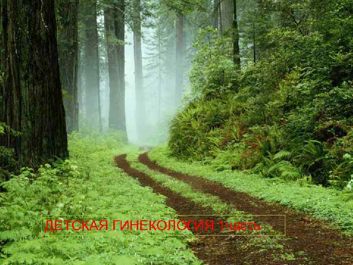 ДЕТСКАЯ ГИНЕКОЛОГИЯ 1 часть 