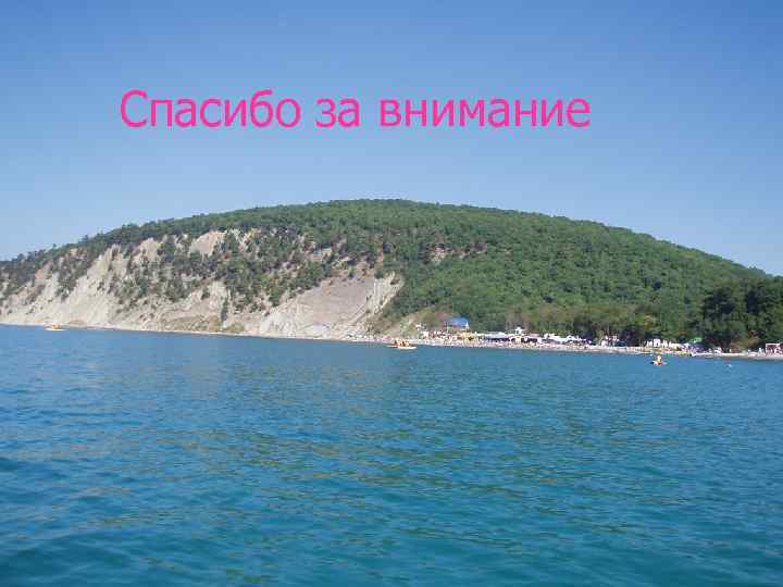 Спасибо за внимание 