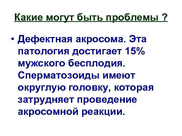 Какие могут быть проблемы ? • Дефектная акросома. Эта патология достигает 15% мужского бесплодия.