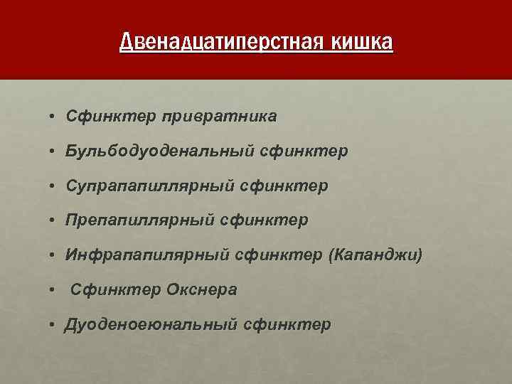 Двенадцатиперстная кишка • Сфинктер привратника • Бульбодуоденальный сфинктер • Супрапапиллярный сфинктер • Препапиллярный сфинктер