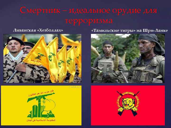 Смертник – идеальное орудие для терроризма Ливанская «Хезболлах» «Тамильские тигры» на Шри-Ланке 