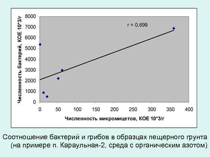 Соотношение бактерий и грибов в образцах пещерного грунта (на примере п. Караульная-2, среда с