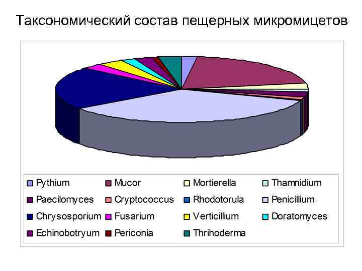 Таксономический состав пещерных микромицетов 