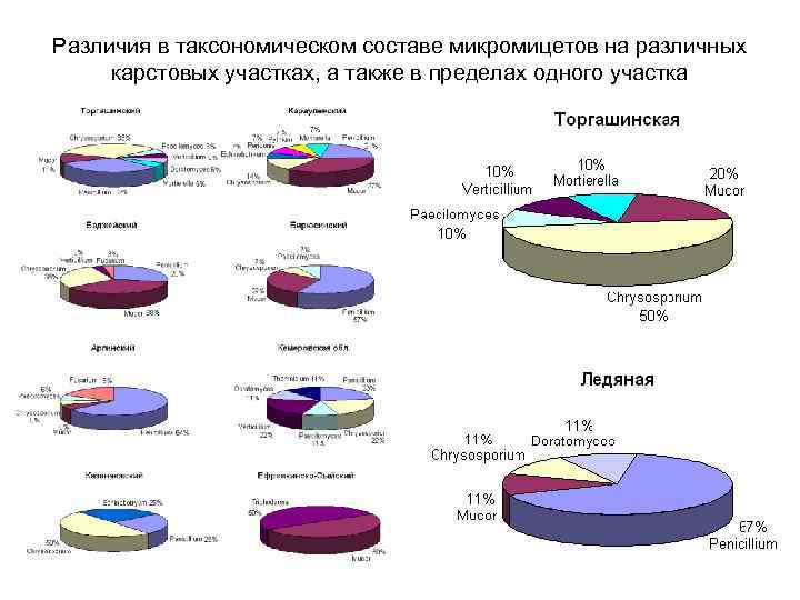 Различия в таксономическом составе микромицетов на различных карстовых участках, а также в пределах одного