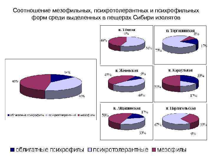 Соотношение мезофильных, психротолерантных и психрофильных форм среди выделенных в пещерах Сибири изолятов 