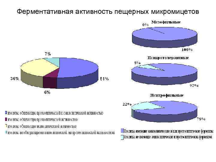 Ферментативная активность пещерных микромицетов 