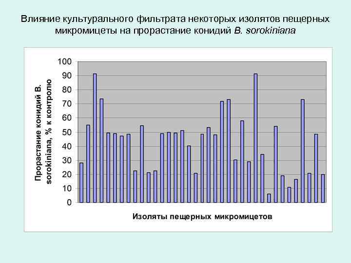 Влияние культурального фильтрата некоторых изолятов пещерных микромицеты на прорастание конидий B. sorokiniana 