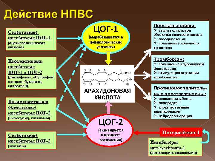 Действие НПВС Селективные ингибиторы ЦОГ-1 (ацетилсалициловая кислота) ЦОГ-1 (вырабатывается в физиологических условиях) Ø повышение