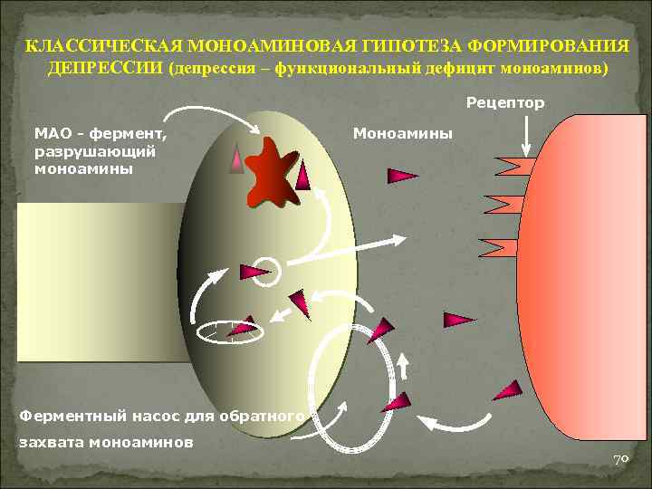 КЛАССИЧЕСКАЯ МОНОАМИНОВАЯ ГИПОТЕЗА ФОРМИРОВАНИЯ ДЕПРЕССИИ (депрессия – функциональный дефицит моноаминов) Рецептор МАО - фермент,