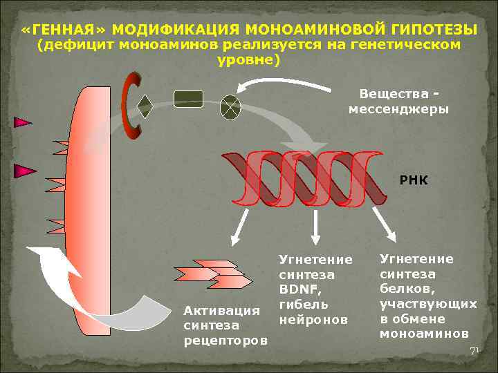  «ГЕННАЯ» МОДИФИКАЦИЯ МОНОАМИНОВОЙ ГИПОТЕЗЫ (дефицит моноаминов реализуется на генетическом уровне) Вещества мессенджеры РНК