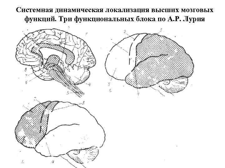 Операции процесса письма по лурия схема