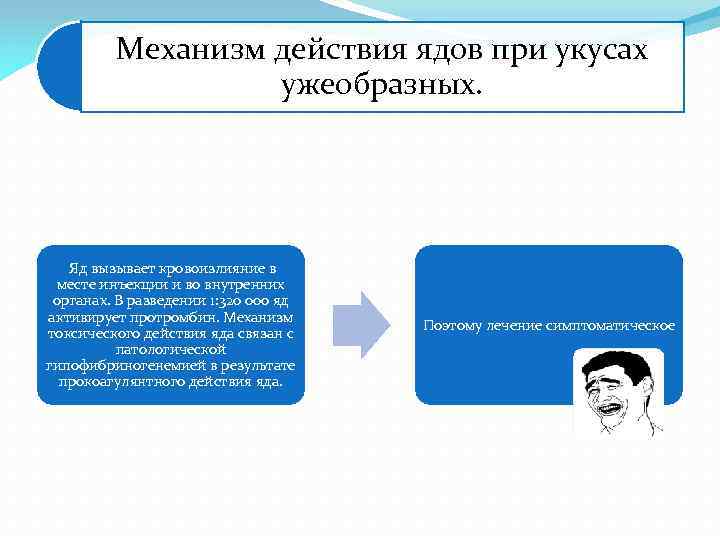 Механизм действия ядов при укусах ужеобразных. Яд вызывает кровоизлияние в месте инъекции и во