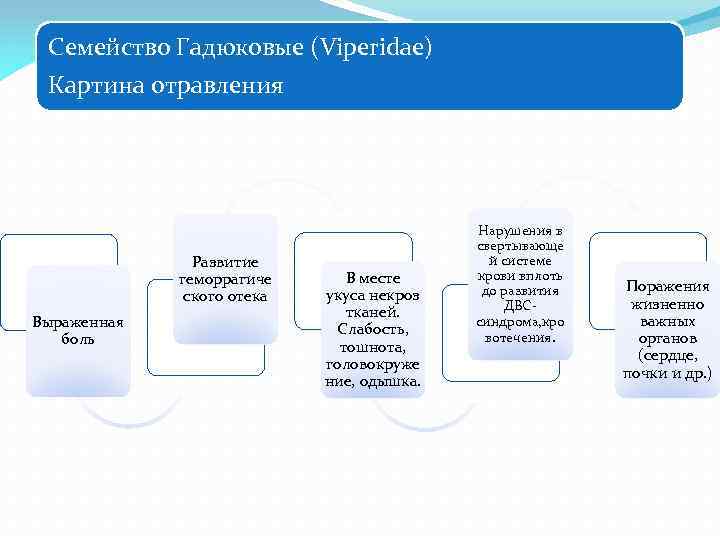 Семейство Гадюковые (Viperidae) Картина отравления Развитие геморрагиче ского отека Выраженная боль В месте укуса