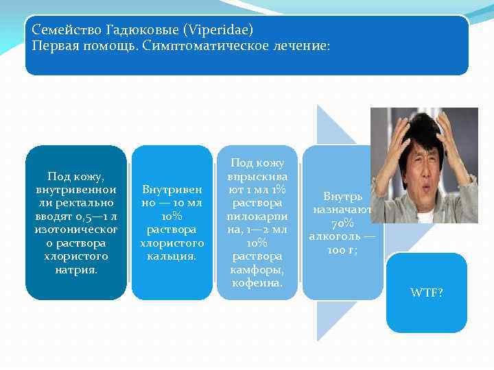 Семейство Гадюковые (Viperidae) Первая помощь. Симптоматическое лечение: Под кожу, внутривеннои ли ректально вводят 0,
