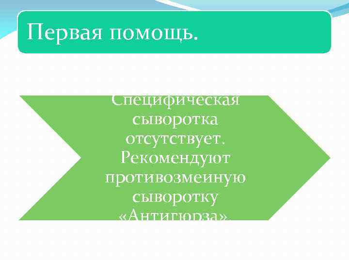 Первая помощь. Специфическая сыворотка отсутствует. Рекомендуют противозмеиную сыворотку «Антигюрза» . 