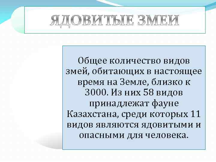 Общее количество видов змей, обитающих в настоящее время на Земле, близко к 3000. Из