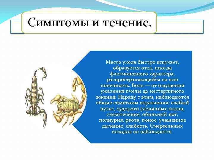 Симптомы и течение. Место укола быстро вспухает, образуется отек, иногда флегмонозного характера, распространяющийся на
