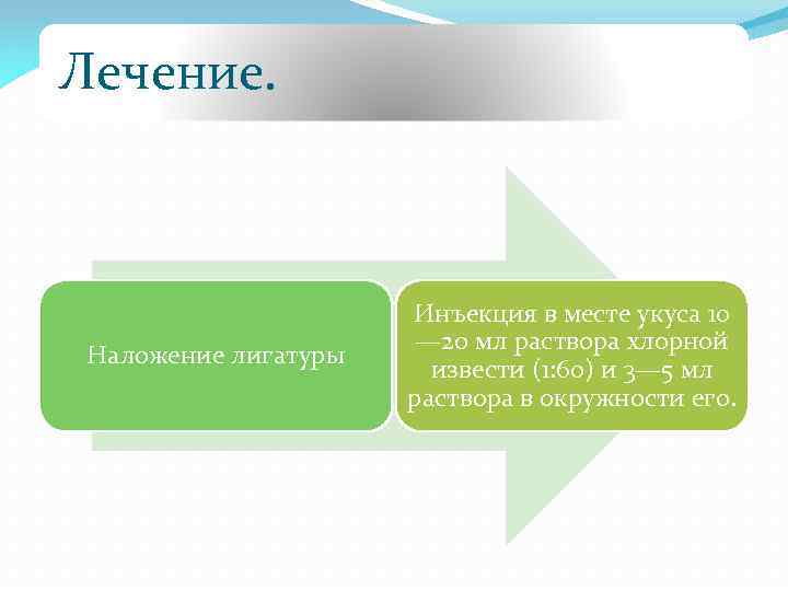 Лечение. Наложение лигатуры Инъекция в месте укуса 10 — 20 мл раствора хлорной извести