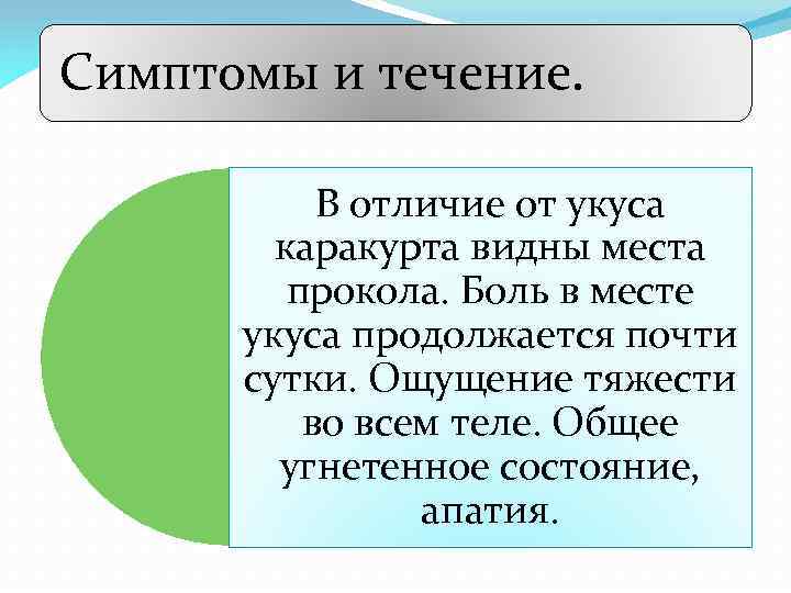 Симптомы и течение. В отличие от укуса каракурта видны места прокола. Боль в месте