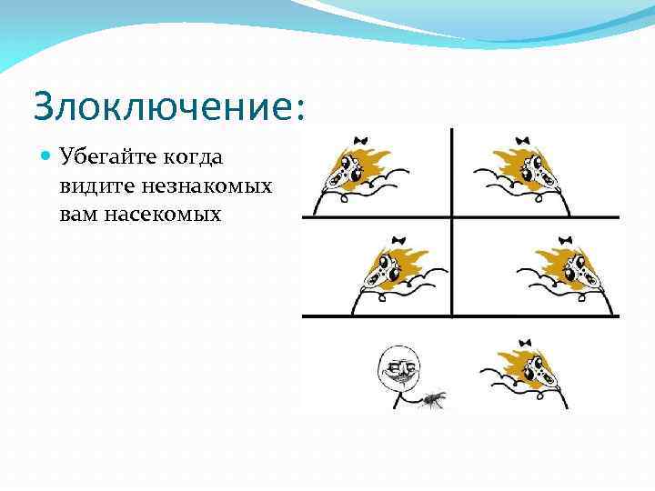 Злоключение: Убегайте когда видите незнакомых вам насекомых 
