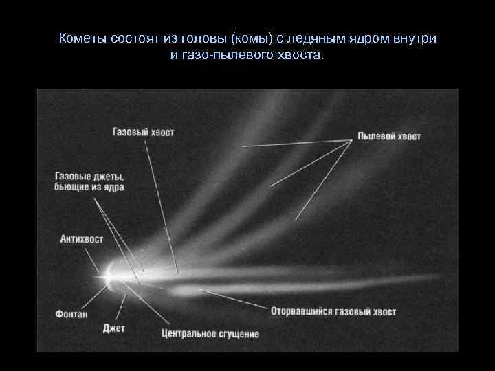 Кометы состоят из головы (комы) с ледяным ядром внутри и газо-пылевого хвоста. 
