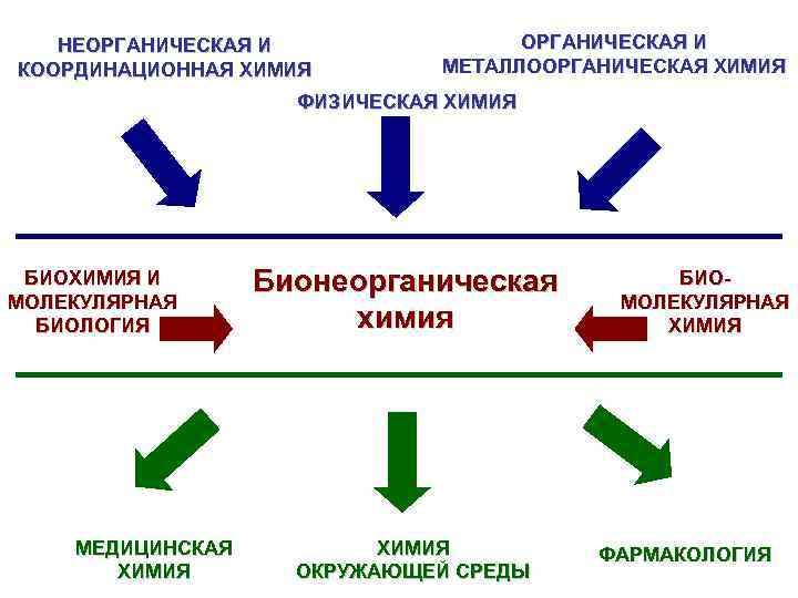НЕОРГАНИЧЕСКАЯ И КООРДИНАЦИОННАЯ ХИМИЯ ОРГАНИЧЕСКАЯ И МЕТАЛЛООРГАНИЧЕСКАЯ ХИМИЯ ФИЗИЧЕСКАЯ ХИМИЯ БИОХИМИЯ И МОЛЕКУЛЯРНАЯ БИОЛОГИЯ