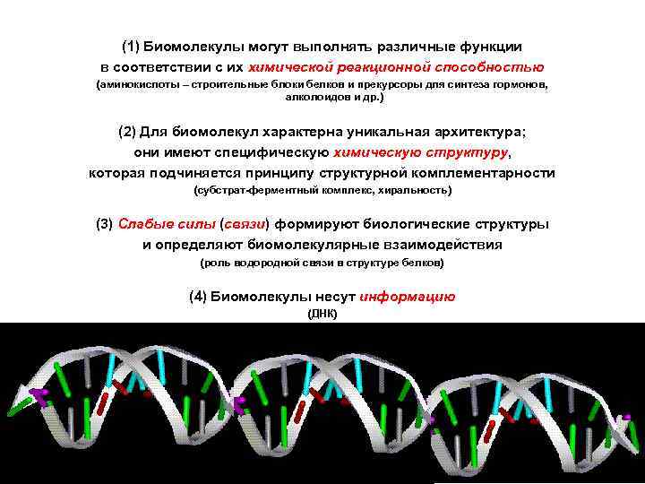 Регуляторы биомолекулярных процессов 11 класс презентация